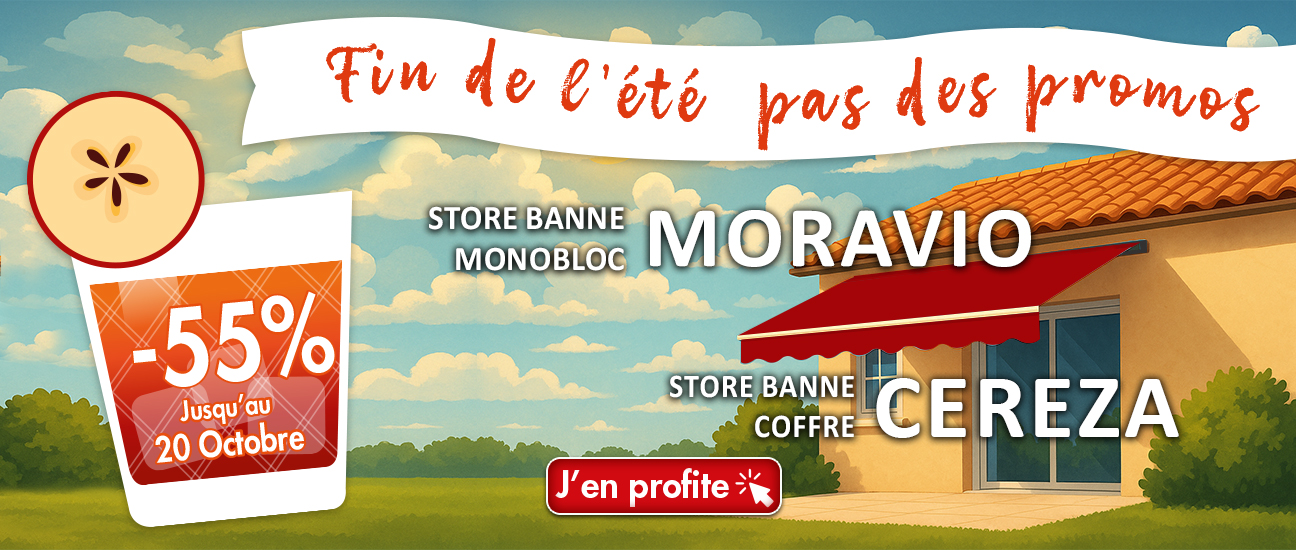 Promo stores bannes
